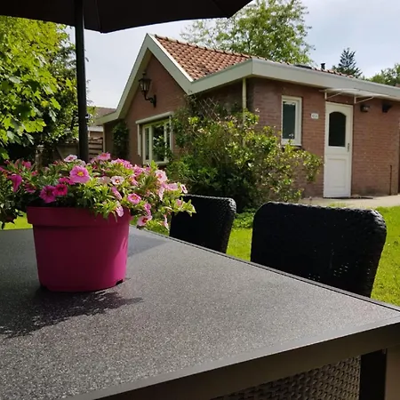 In Veluwe Near Forest Park, Cleaning Included *