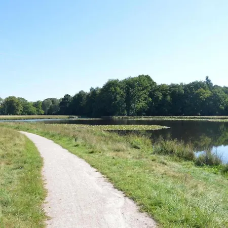 In Veluwe Near Forest Park, Cleaning Included Feriehus Garderen