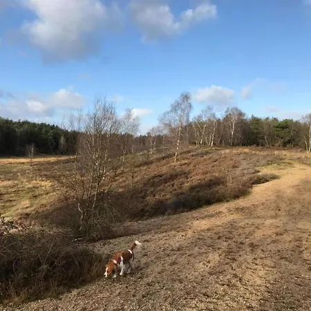Feriehus In Veluwe Near Forest Park, Cleaning Included Garderen