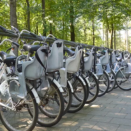 In Veluwe Near Forest Park, Cleaning Included Garderen