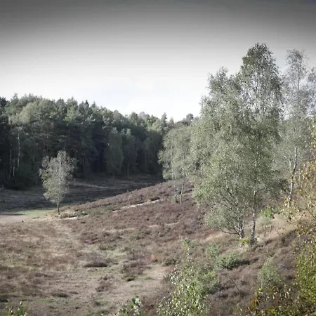 In Veluwe Near Forest Park, Cleaning Included Feriehus *