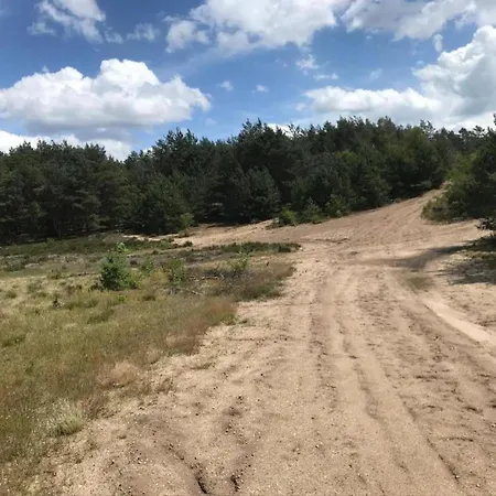 Feriehus In Veluwe Near Forest Park, Cleaning Included Garderen