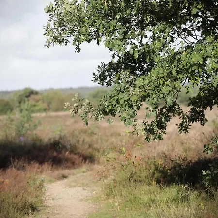 In Veluwe Near Forest Park, Cleaning Included *