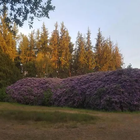 In Veluwe Near Forest Park, Cleaning Included Garderen