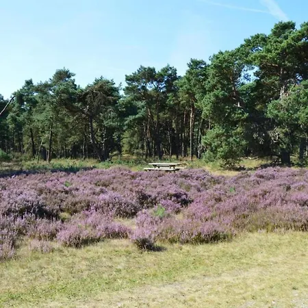Feriehus In Veluwe Near Forest Park, Cleaning Included